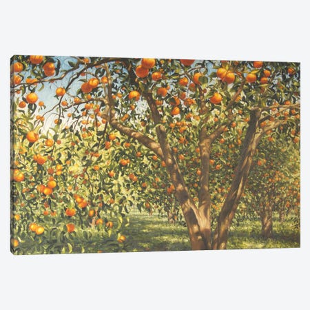 Silence Under The Oranges I, 2012 Canvas Print #BMN13073} by Angus Hampel Canvas Art