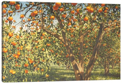 Silence Under The Oranges I, 2012 Canvas Art Print - Angus Hampel
