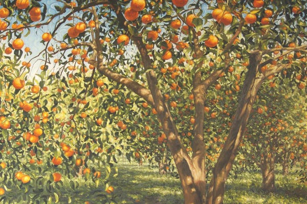 Angus Hampel: Silence Under The Oranges I, 2012 by Angus Hampel