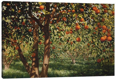 Silence Under The Oranges II, 2012 Canvas Art Print - Angus Hampel