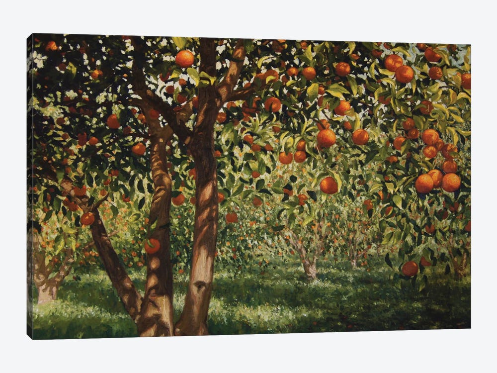 Silence Under The Oranges II, 2012 by Angus Hampel 1-piece Art Print