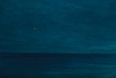 Angus Hampel