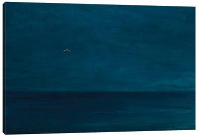 Silent Flight, 2016 Canvas Art Print - Angus Hampel