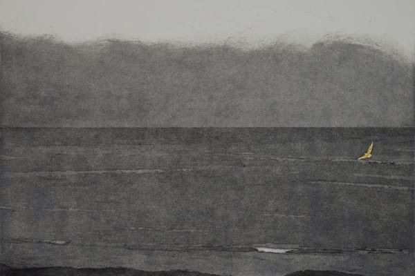 Angus Hampel: Silent Flight, 2017 by Angus Hampel