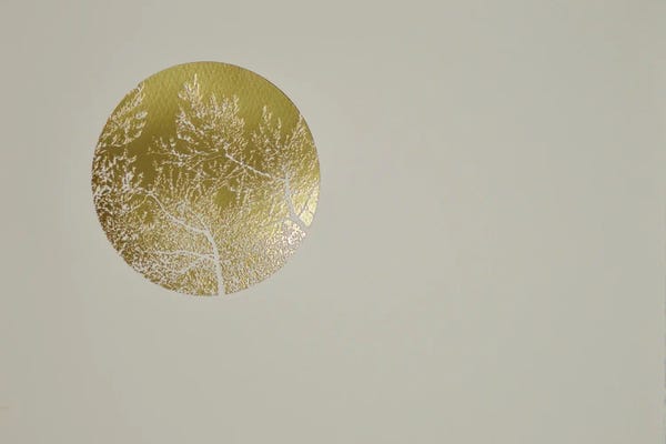 Angus Hampel: Silent Olive, 2017 by Angus Hampel