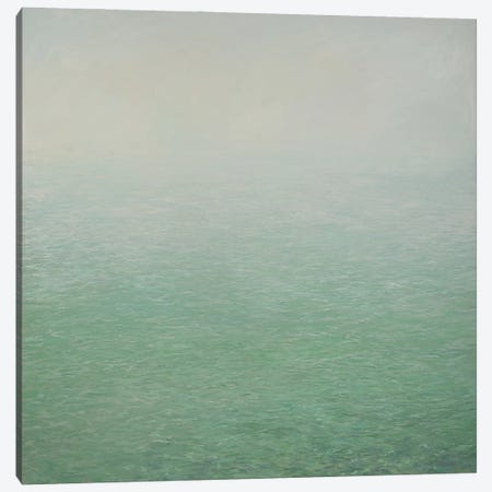 The Stillness Of Moving Water Canvas Print #BMN13080} by Angus Hampel Art Print