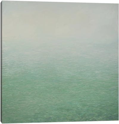 The Stillness Of Moving Water Canvas Art Print - Angus Hampel