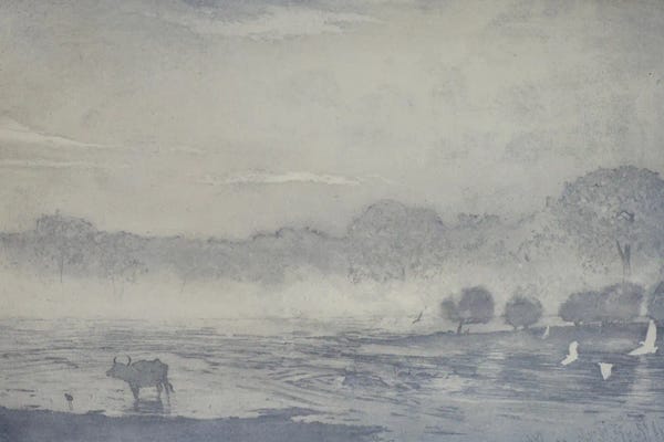 Angus Hampel: Three Buffalo, 2016 by Angus Hampel