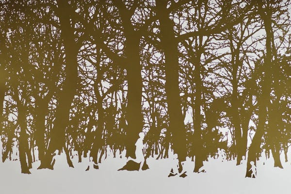 Angus Hampel: Trees Of Life, 2017 by Angus Hampel