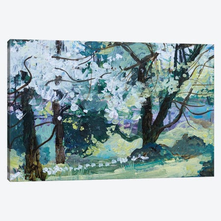 Blossom Trees, Paxton, 2021 Canvas Print #BMN13087} by Ann Oram Canvas Wall Art