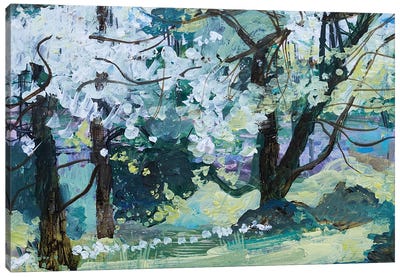 Blossom Trees, Paxton, 2021 Canvas Art Print