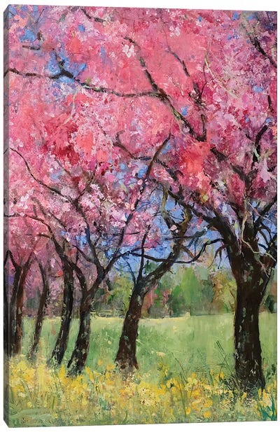 Cherry Blossom In The Meadow, 2022 Canvas Art Print