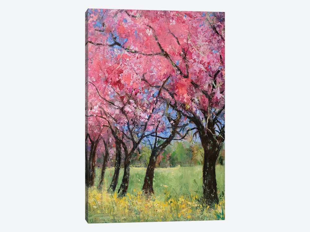 Cherry Blossom In The Meadow, 2022 by Ann Oram 1-piece Canvas Art Print