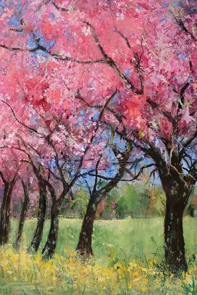 Blossoms: Cherry Blossom In The Meadow, 2022 by Ann Oram