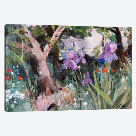 Mediterranean Garden With Irises, 2019 Canvas Print #BMN13102} by Ann Oram Canvas Art