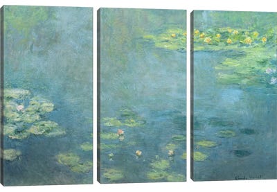Waterlilies Canvas Art Print - 3-Piece Fine Art