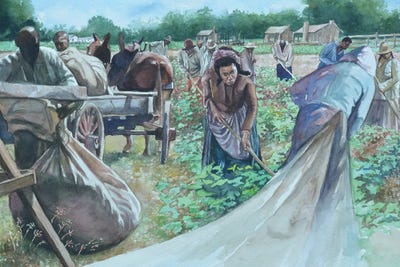 Backbreaking, 2010, by Colin Bootman canvas print