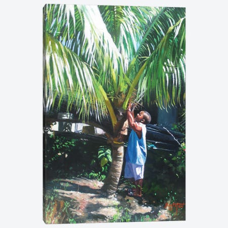 Coconut Shade, 2014 Canvas Print #BMN13146} by Colin Bootman Art Print