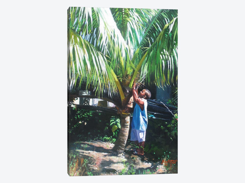 Coconut Shade, 2014 by Colin Bootman 1-piece Canvas Art Print