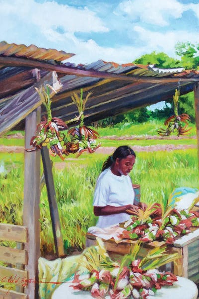 Crab Lady, 2018 by Colin Bootman framed canvas print