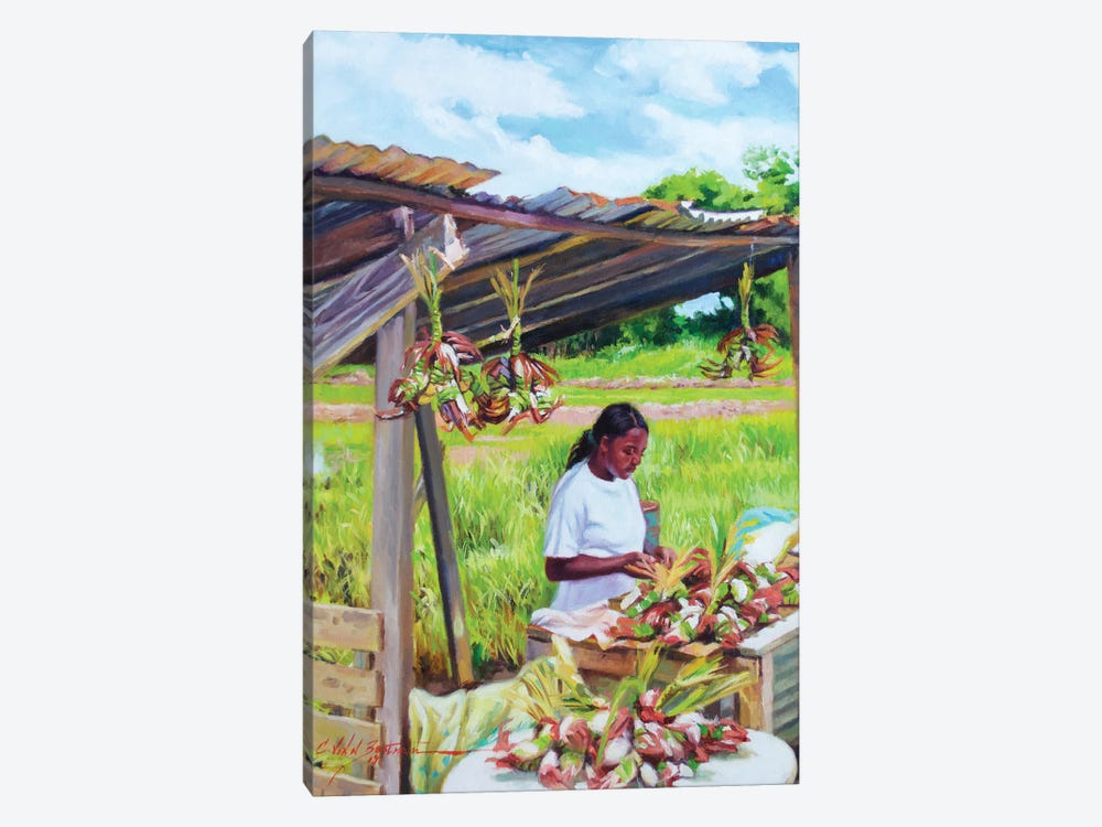 Crab Lady, 2018 by Colin Bootman 1-piece Canvas Print