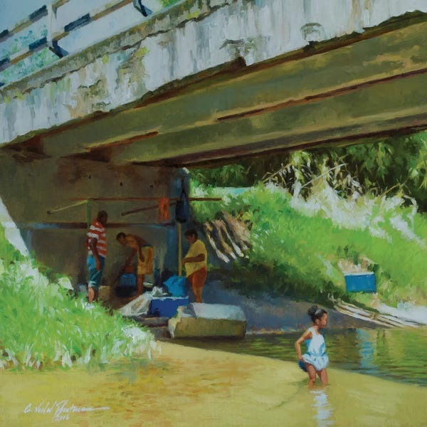 Grasses: Under The Old Bridge, 2016 by Colin Bootman