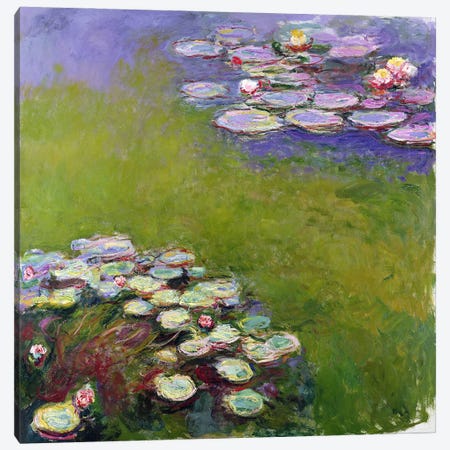 Waterlilies, 1914-17  Canvas Print #BMN1323} by Claude Monet Canvas Print