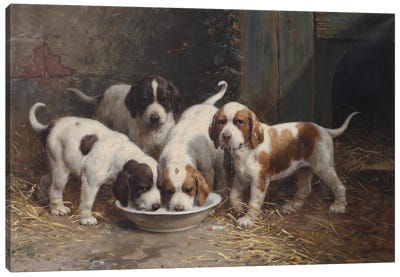 Saint Bernard Puppies Drinking Milk Canvas Art Print - St. Bernard Art