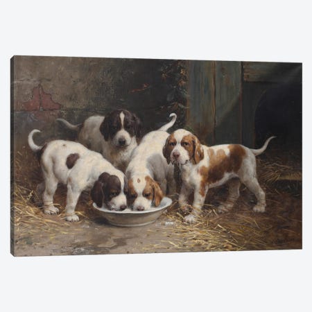 Saint Bernard Puppies Drinking Milk Canvas Print #BMN13245} by Otto Eerelman Canvas Art