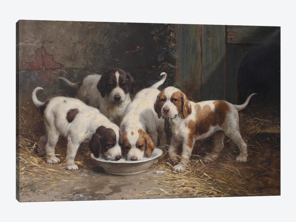 Saint Bernard Puppies Drinking Milk by Otto Eerelman 1-piece Canvas Artwork