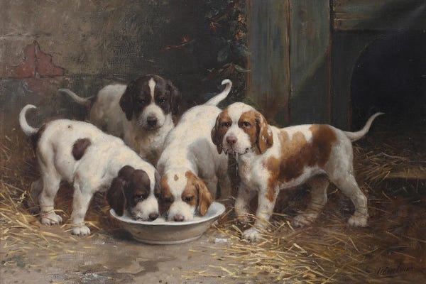St. Bernards: Saint Bernard Puppies Drinking Milk by Otto Eerelman