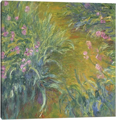 Iris Canvas Art Print - Claude Monet