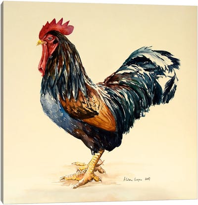 George's Cockerel, 2007 Canvas Art Print - Pet Industry