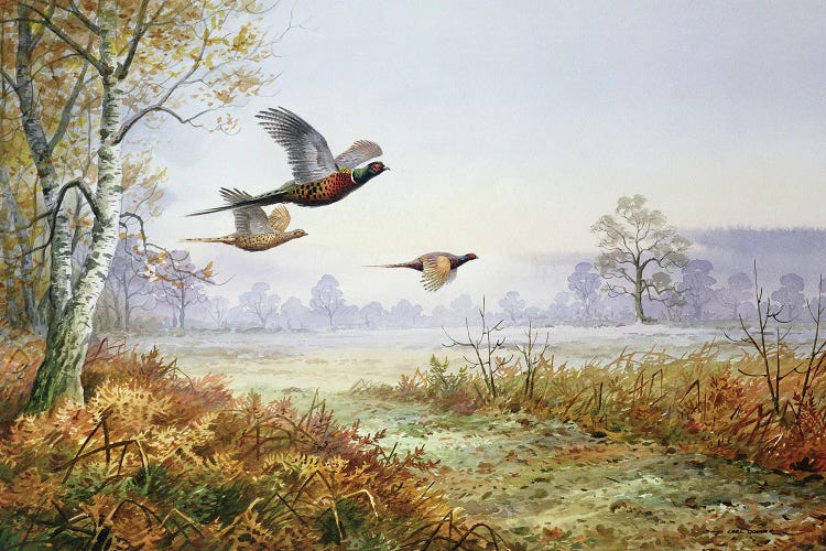 Pheasants In Flight