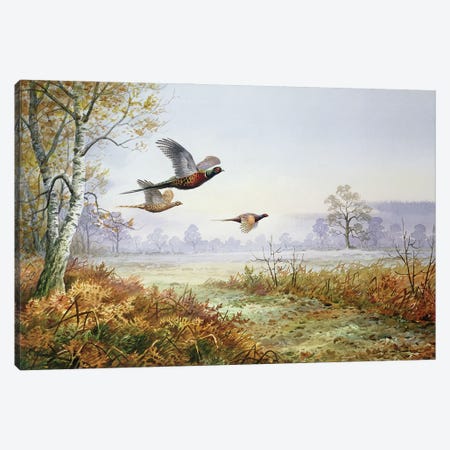 Pheasants In Flight Canvas Print #BMN13317} by Carl Donner Canvas Art
