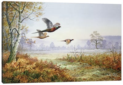 Pheasants In Flight Canvas Art Print - Pheasant Art