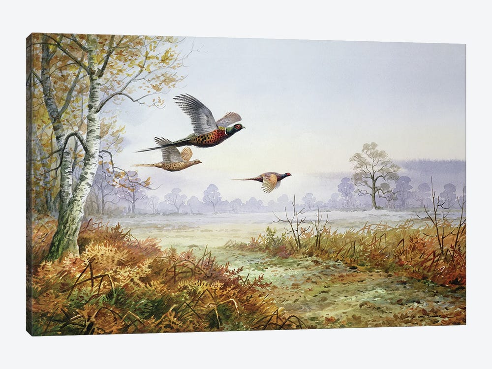 Pheasants In Flight by Carl Donner 1-piece Canvas Artwork