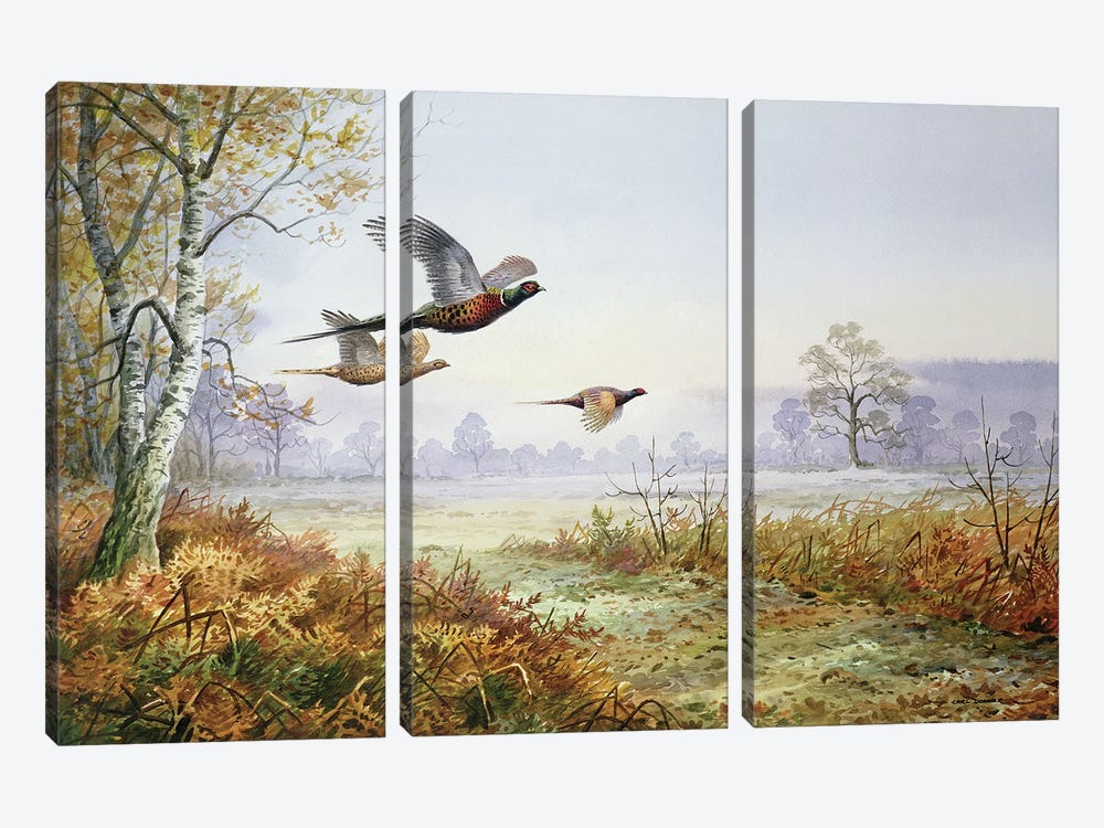 Pheasants In Flight by Carl Donner 3-piece Canvas Artwork