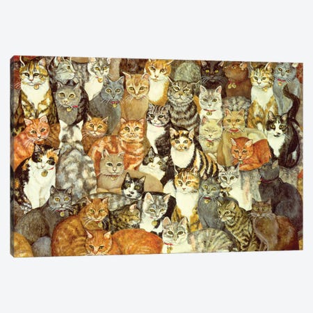 Cat Spread Canvas Print #BMN13335} by Ditz Canvas Artwork