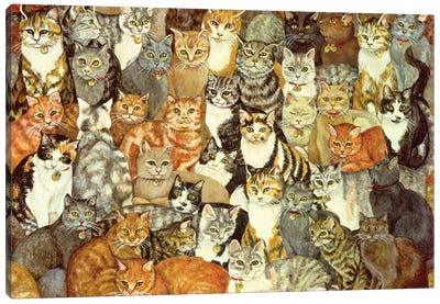 Cat Spread Canvas Art Print