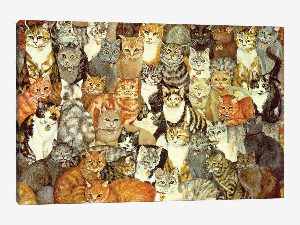 Cat Spread by Ditz 1-piece Canvas Wall Art