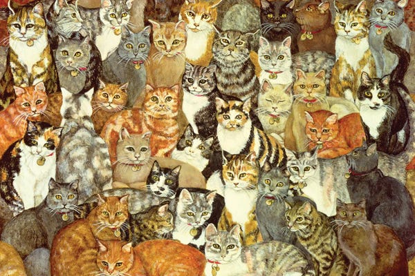 Pet Obsessed: Cat Spread by Ditz
