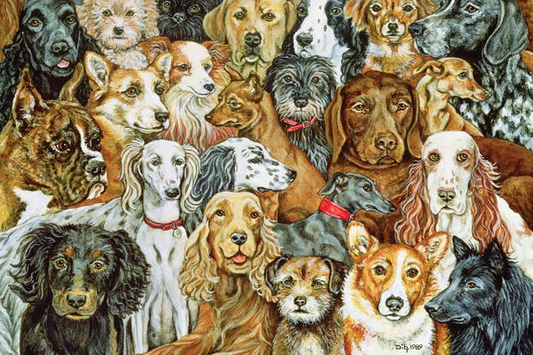 Pet Obsessed: Dog Spread, 1989 by Ditz