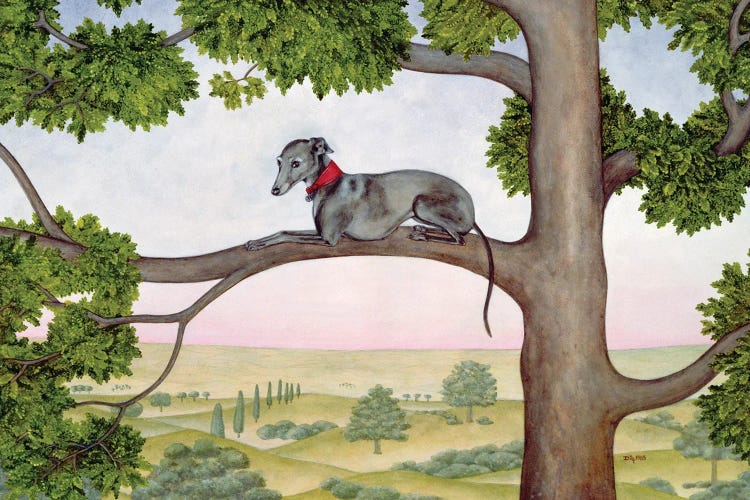 The Tree Whippet