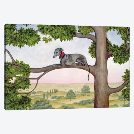 The Tree Whippet Canvas Print #BMN13340} by Ditz Canvas Art