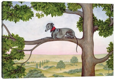 The Tree Whippet Canvas Art Print