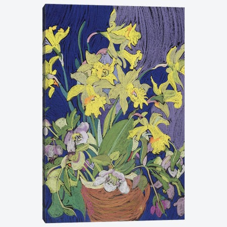 Daffodils With Jug Canvas Print #BMN13349} by Frances Treanor Canvas Wall Art