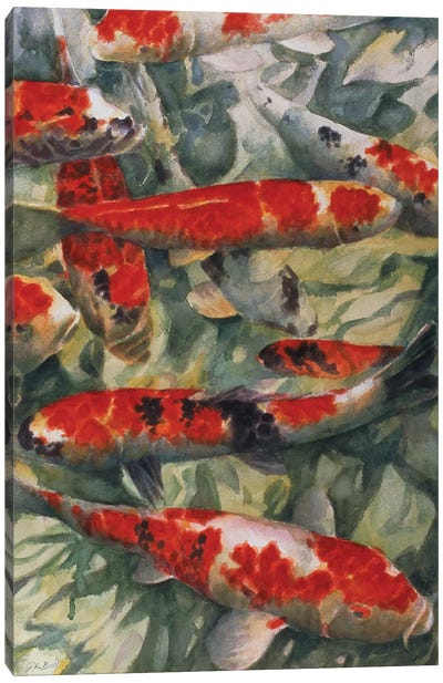 Koi Carp Canvas Art Print - Koi Fish Art