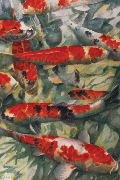 Koi: Koi Carp by Gareth Lloyd Ball