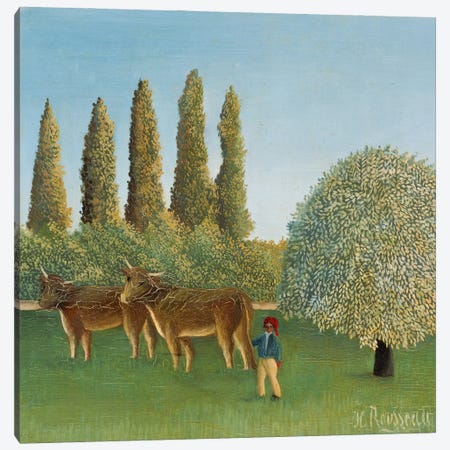 Meadowland (The Pasture), 1910 Canvas Print #BMN13359} by Henri J.F. Rousseau Canvas Print